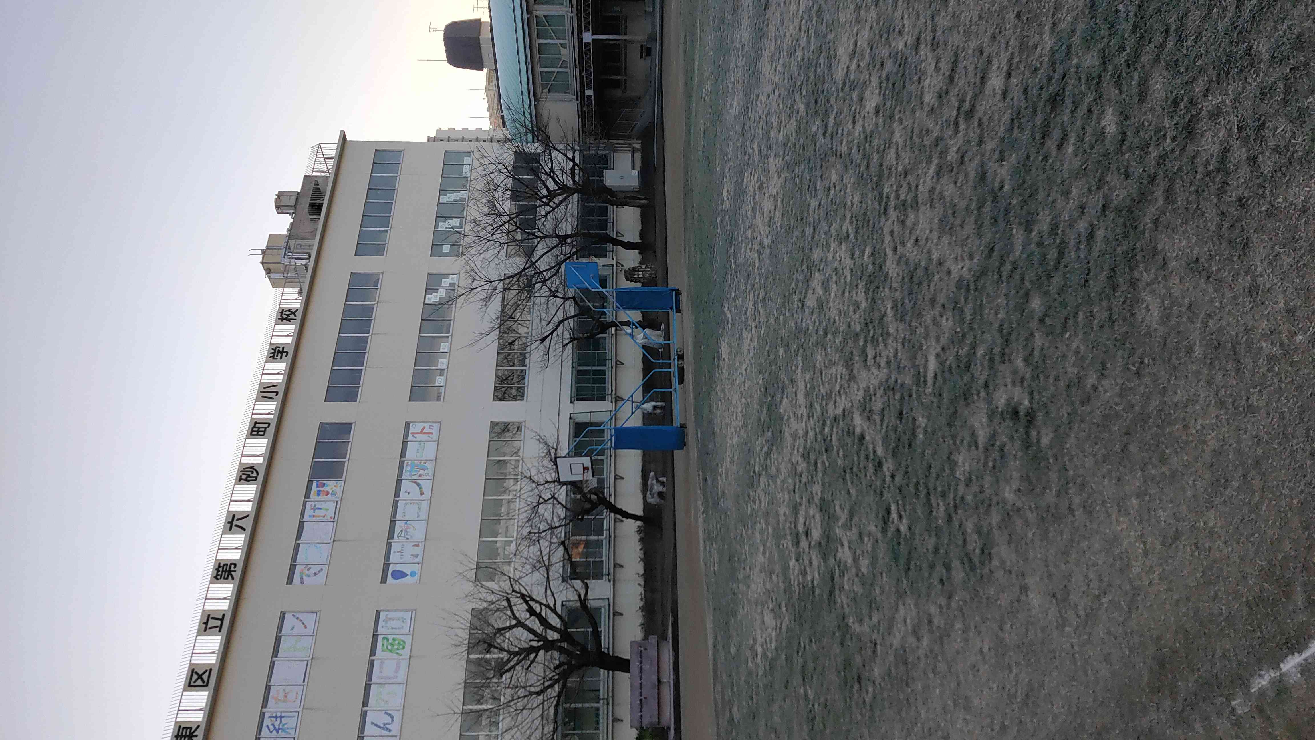 IMG_20210113_072257