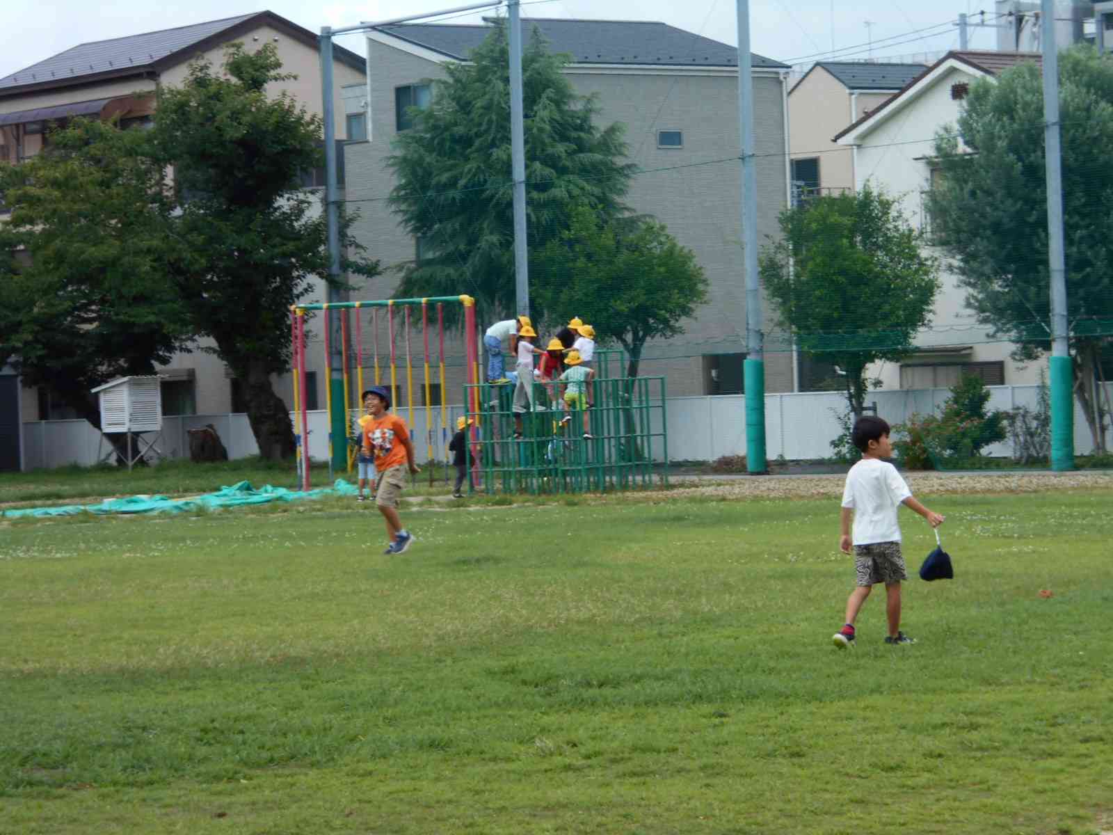 DSCN0529