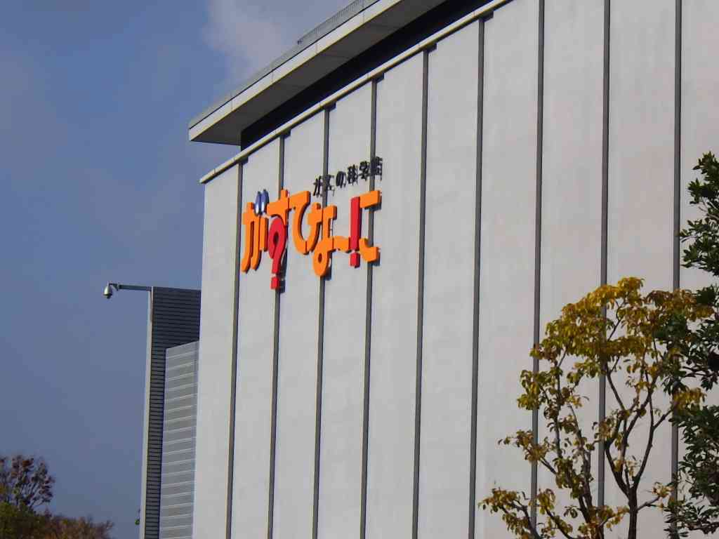 ３年生区内巡り (3)