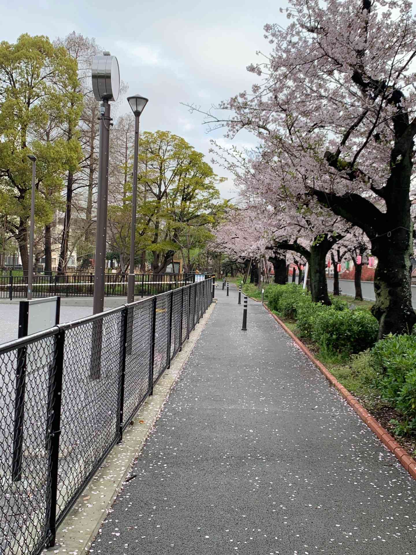 20d9987c-d860-4ca5-8d6a-4cc0dc37080f