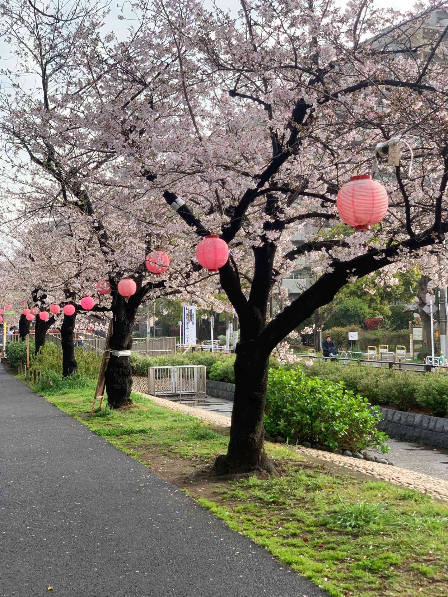 59dff6f5-eac1-4b72-b3f2-5e696da365c0