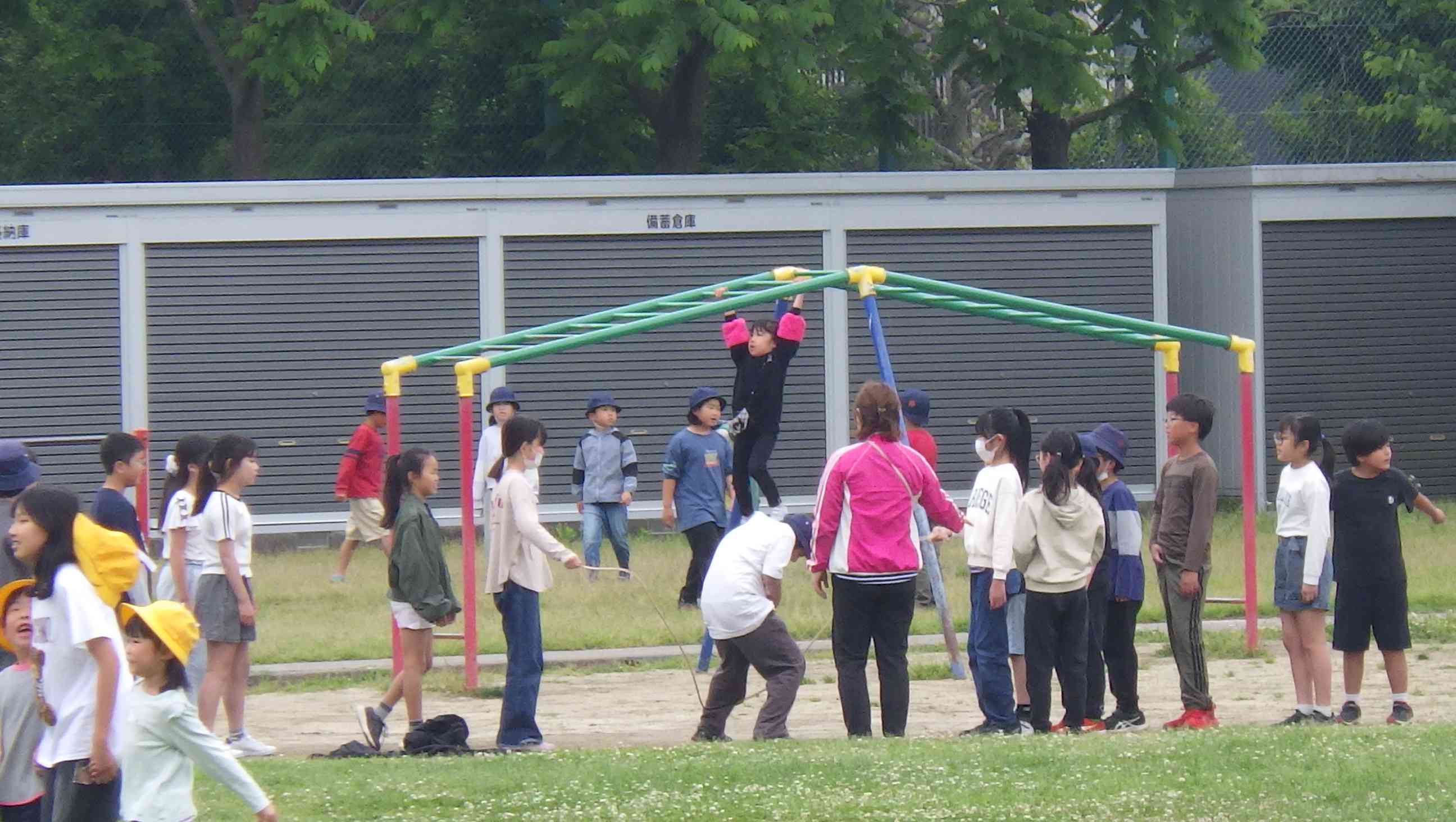IMGP3509