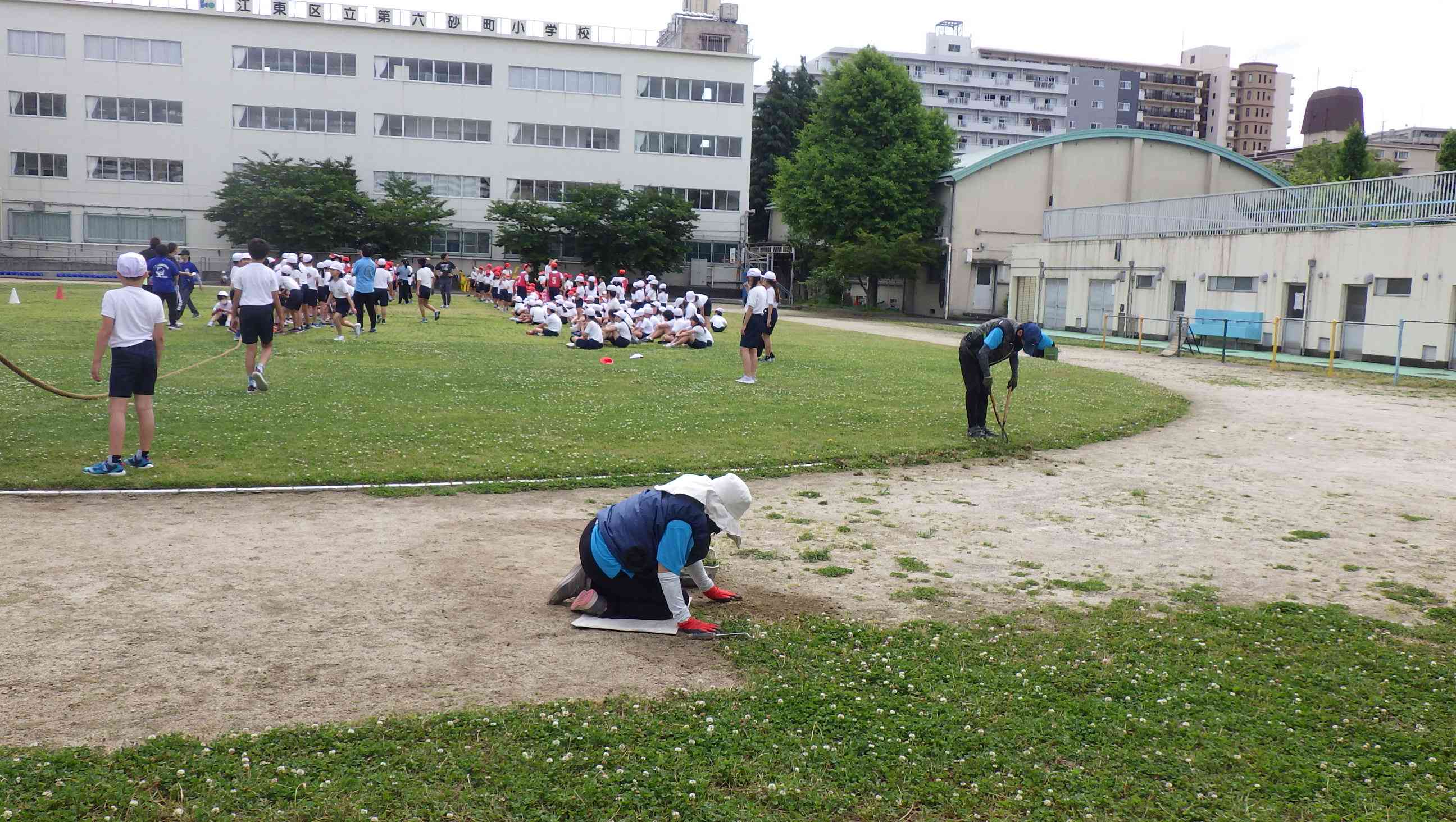 IMGP3932