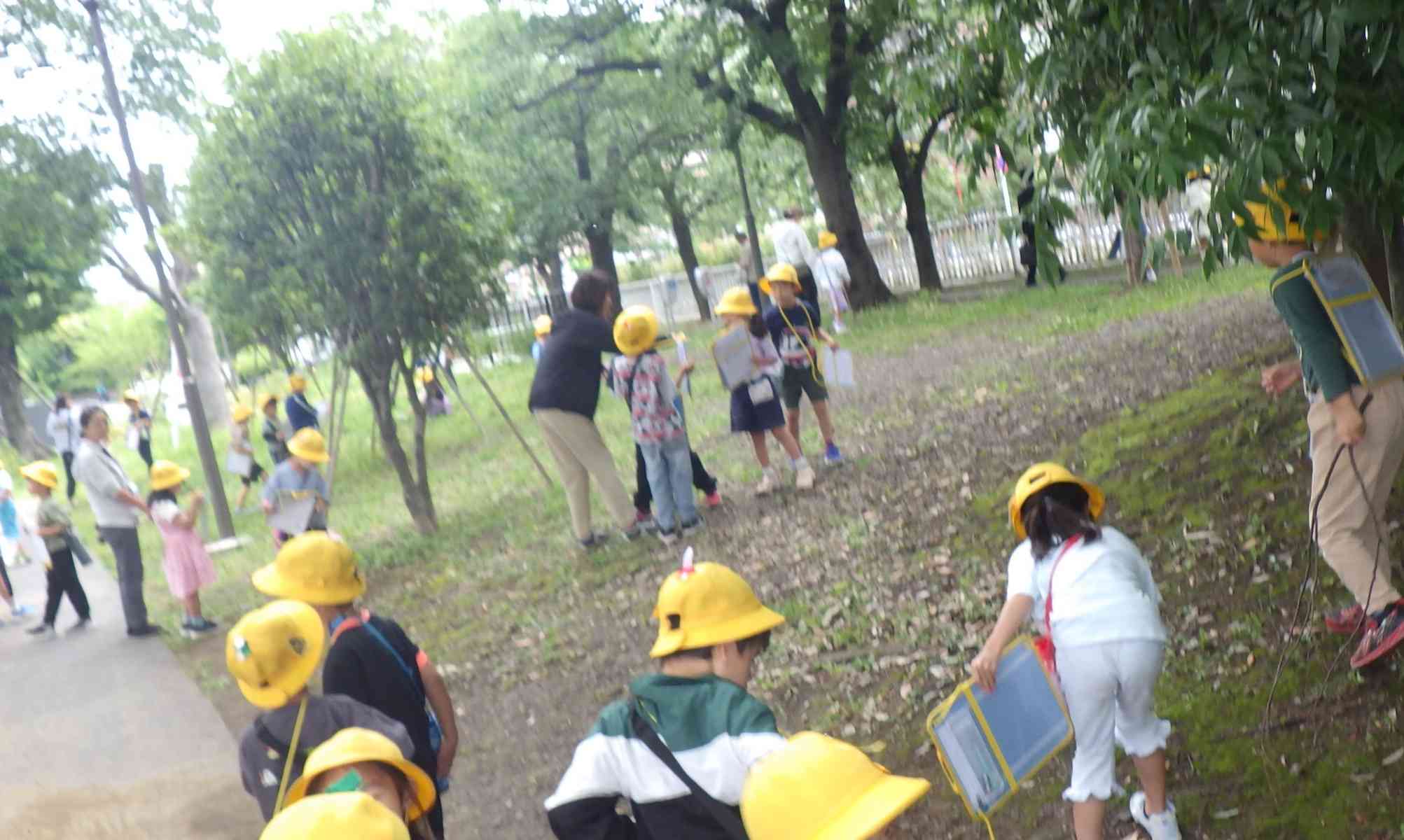 IMGP4423